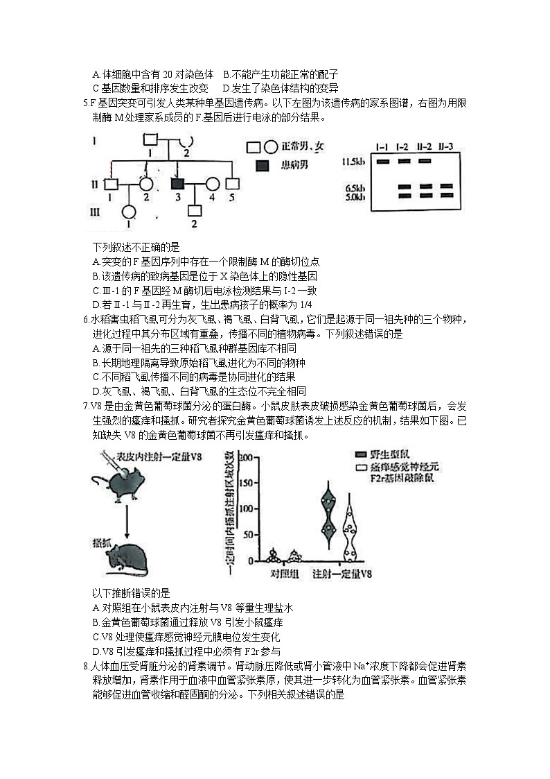 2024年北京市朝阳区高三下学期高考一模生物试卷含答案02