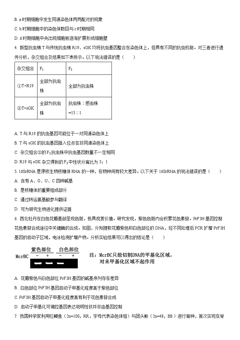 2024年北京市东城区高三下学期高考一模生物试卷含详解02