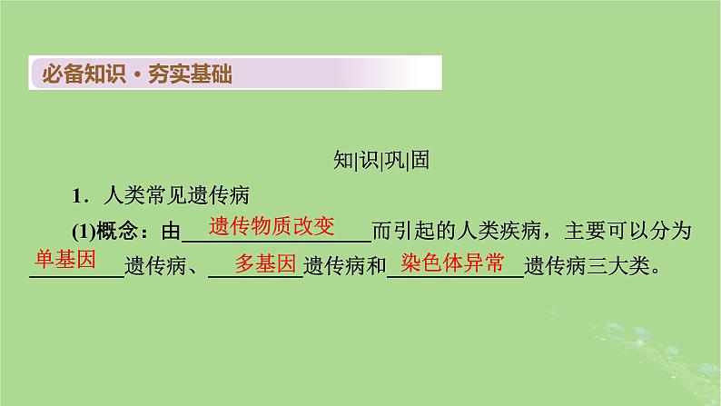 2025版高考生物一轮总复习必修2第5单元孟德尔定律和伴性遗传第4讲人类遗传病课件04