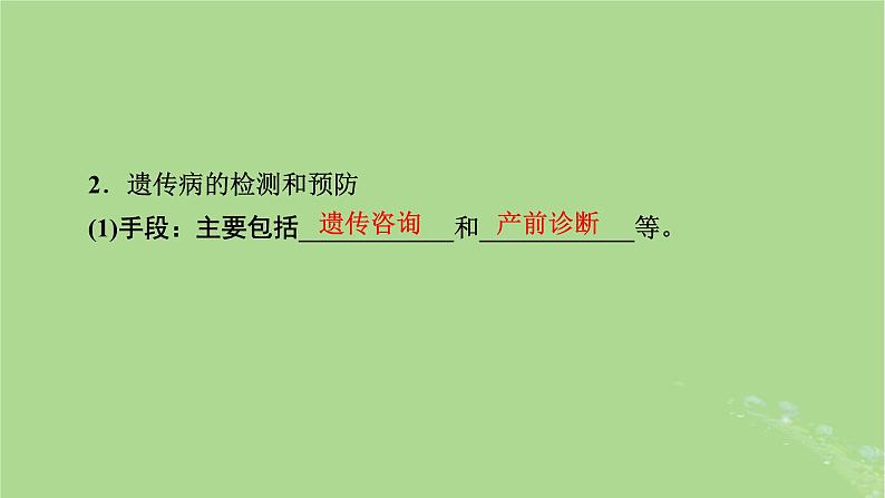 2025版高考生物一轮总复习必修2第5单元孟德尔定律和伴性遗传第4讲人类遗传病课件06