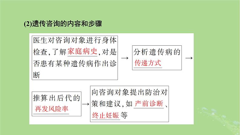 2025版高考生物一轮总复习必修2第5单元孟德尔定律和伴性遗传第4讲人类遗传病课件07