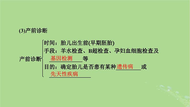 2025版高考生物一轮总复习必修2第5单元孟德尔定律和伴性遗传第4讲人类遗传病课件08