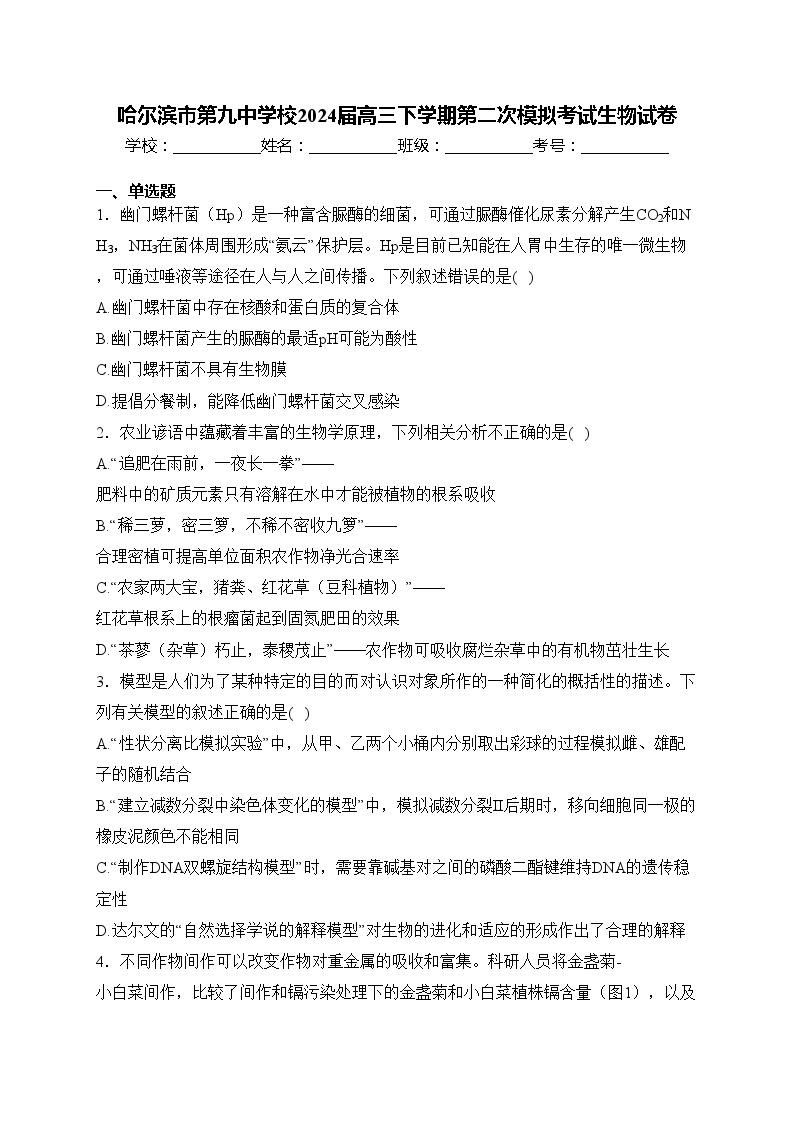 哈尔滨市第九中学校2024届高三下学期第二次模拟考试生物试卷(含答案)01