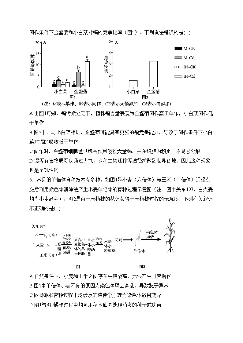 哈尔滨市第九中学校2024届高三下学期第二次模拟考试生物试卷(含答案)02