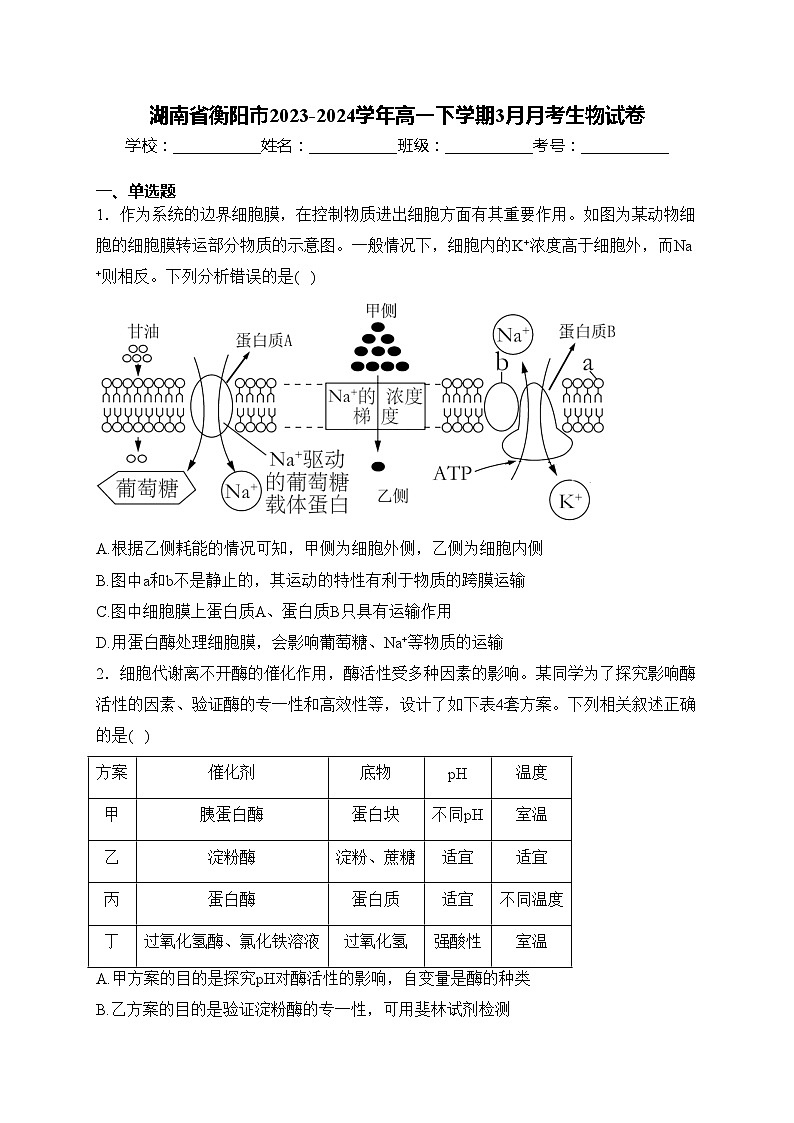 湖南省衡阳市2023-2024学年高一下学期3月月考生物试卷(含答案)第1页