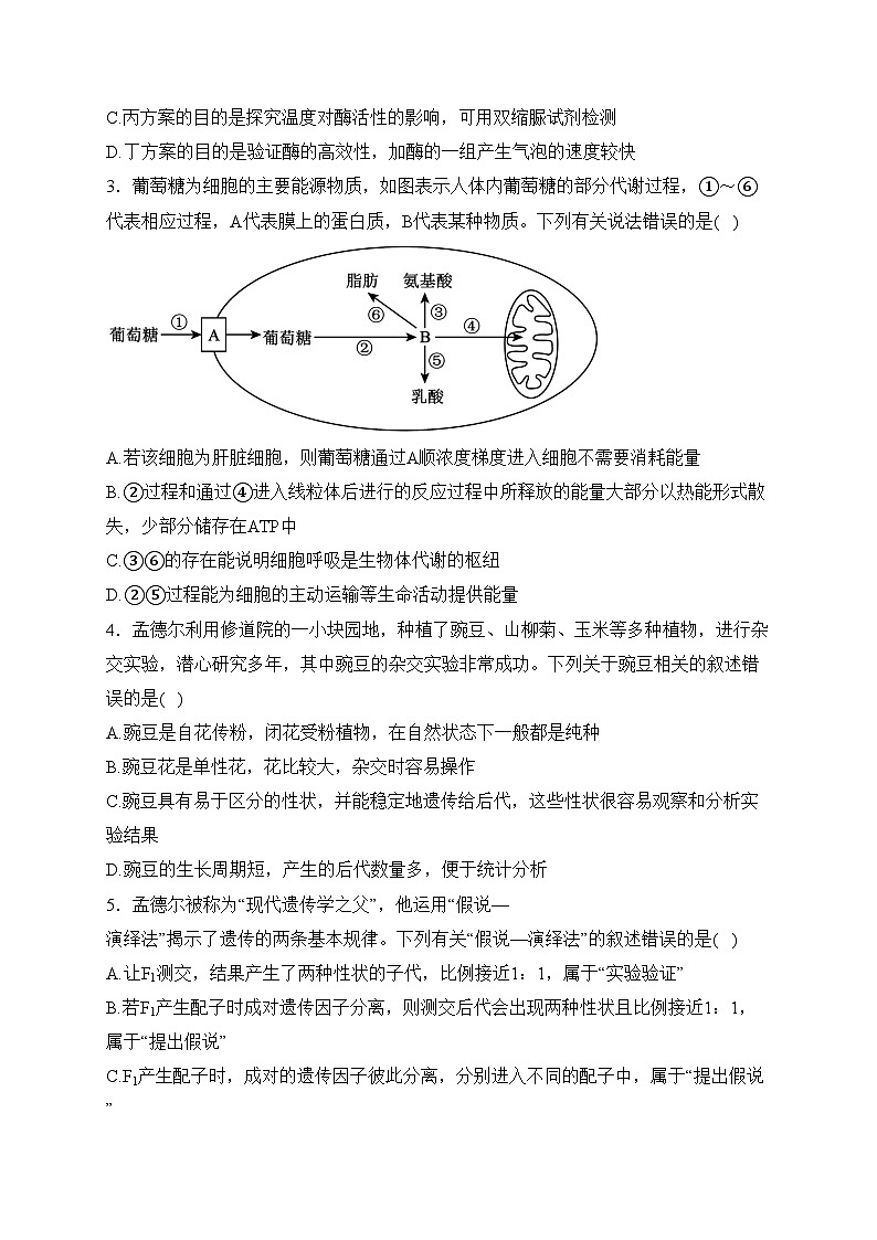 湖南省衡阳市2023-2024学年高一下学期3月月考生物试卷(含答案)第2页