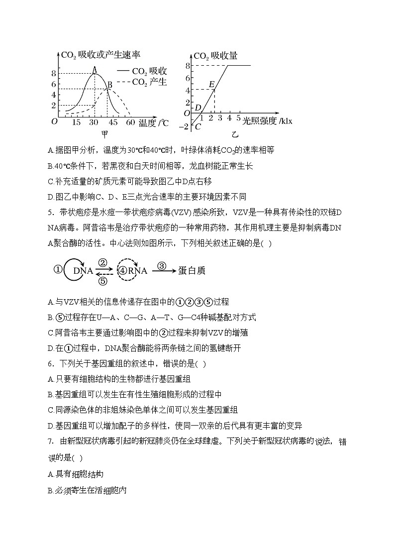 梅河口市第五中学2024届高三下学期第一次模拟考试生物试卷(含答案)02