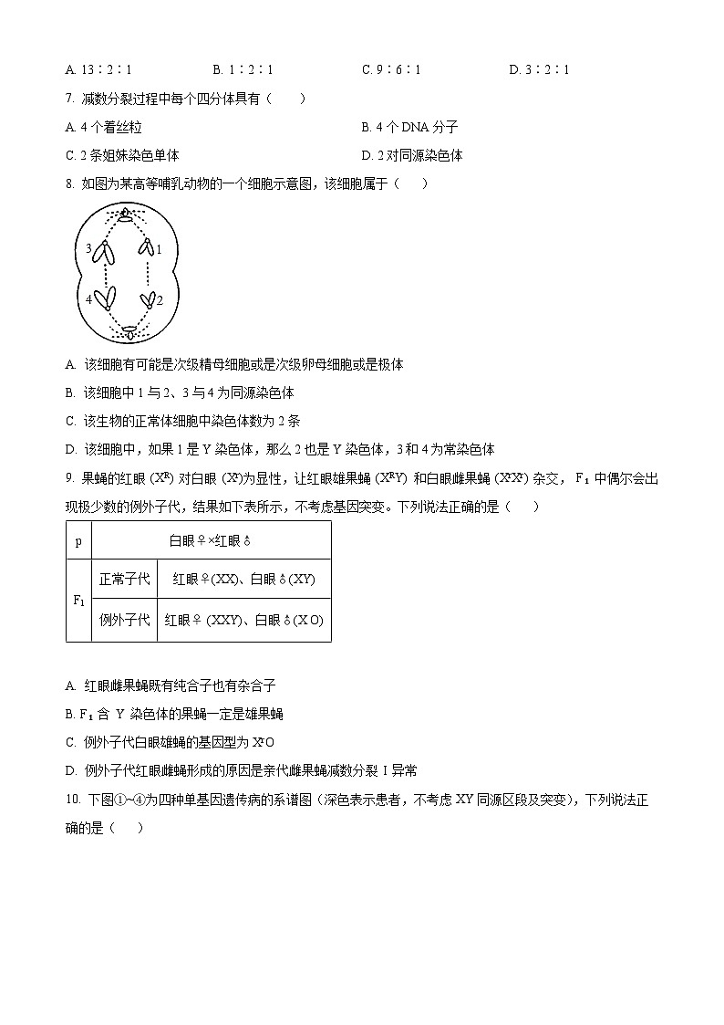 山东省淄博市沂源县第二中学2023-2024学年高一下学期4月月考生物试题（原卷版）第2页