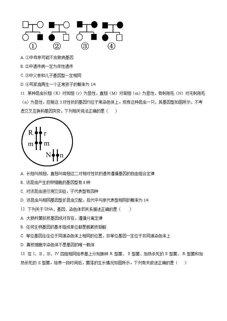 山东省淄博市沂源县第二中学2023-2024学年高一下学期4月月考生物试题（原卷版）第3页