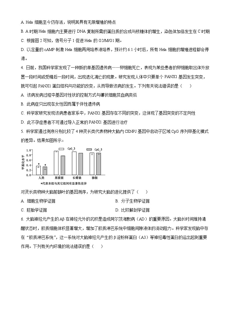 湖南省衡阳市第八中学2024届高三下学期适应性练习卷（二）生物试题（原卷版）第2页