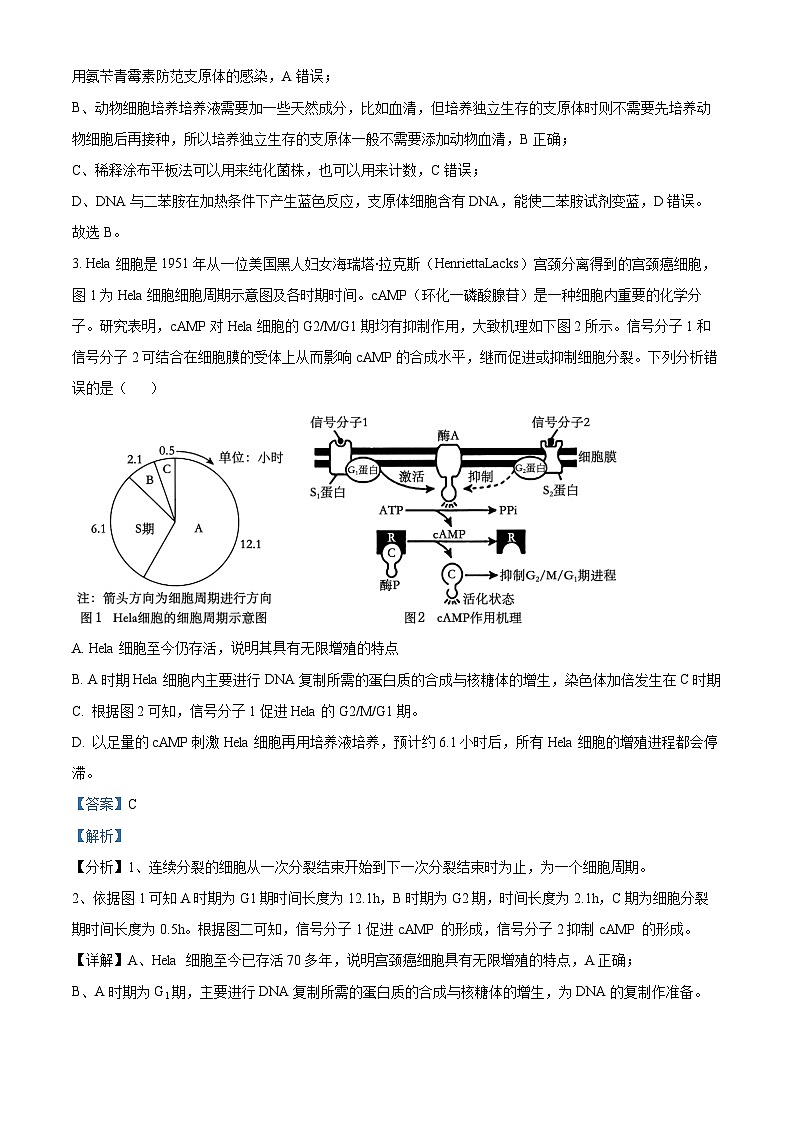 湖南省衡阳市第八中学2024届高三下学期适应性练习卷（二）生物试题（解析版）第2页