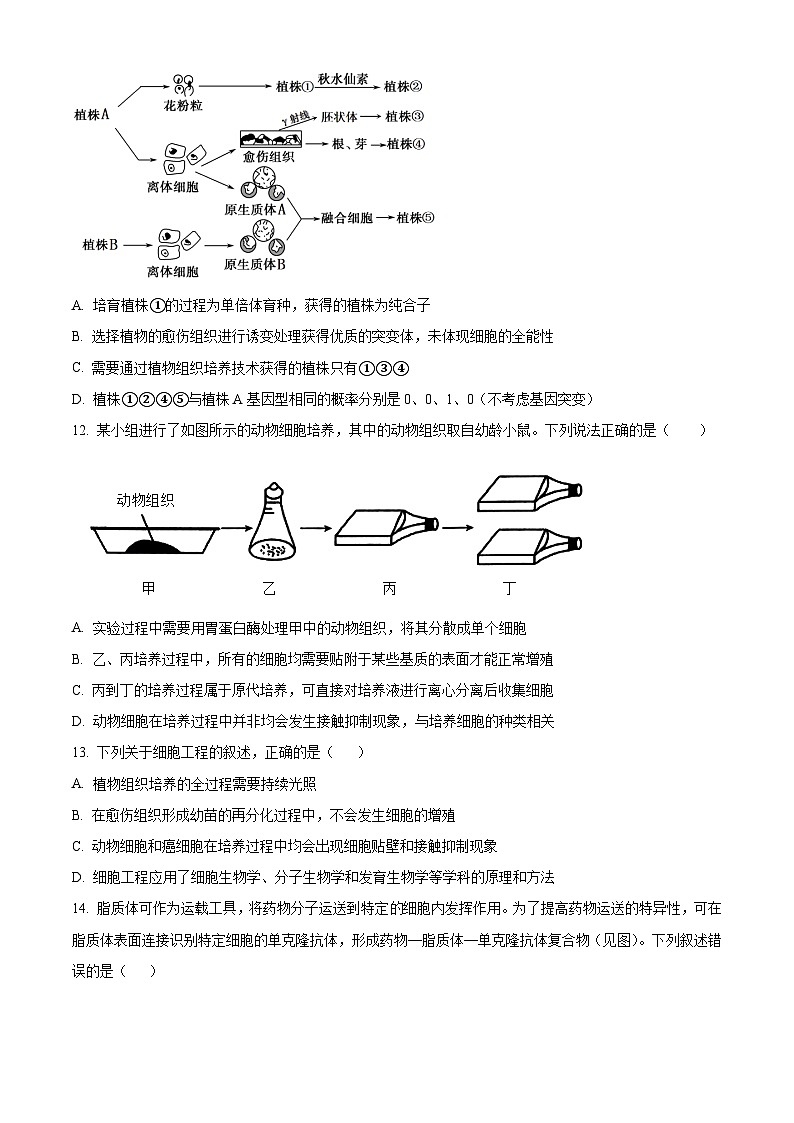黑龙江省哈尔滨师范大学青冈实验中学2023-2024学年高二下学期4月考试生物试题（原卷版+解析版）03