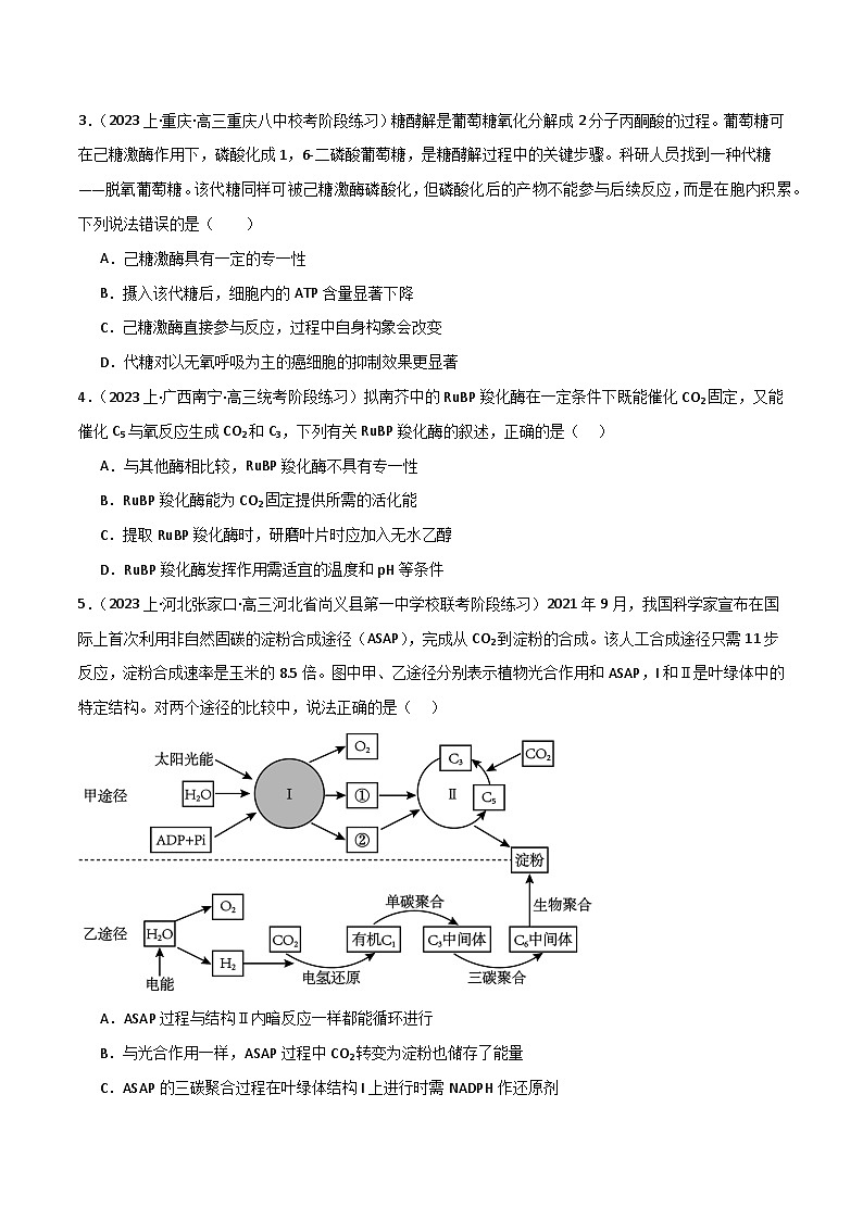 专题03 细胞的能量供应和利用（限时检测卷）第2页