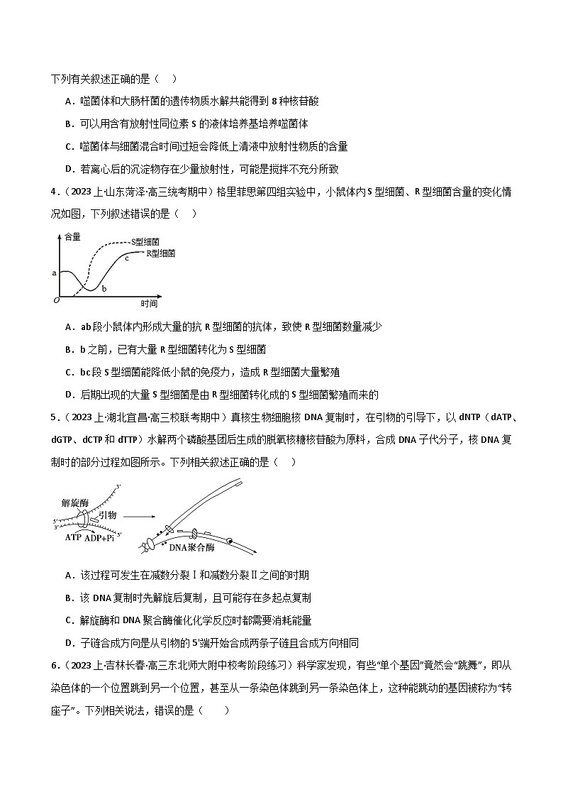 专题05 遗传的分子基础（限时检测卷）第2页