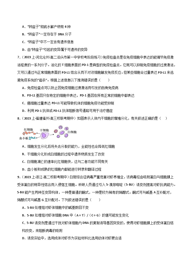 专题05 遗传的分子基础（限时检测卷）第3页