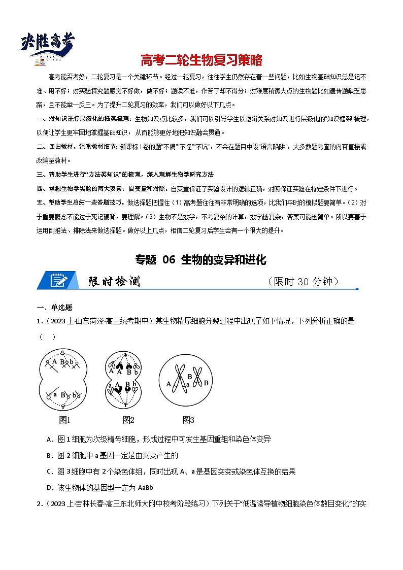 专题06 生物的变异和进化--2024年高考生物【热点·重点·难点】专练（新高考专用）01