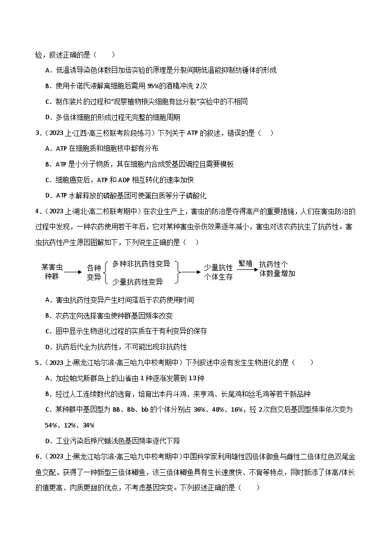 专题06 生物的变异和进化--2024年高考生物【热点·重点·难点】专练（新高考专用）02
