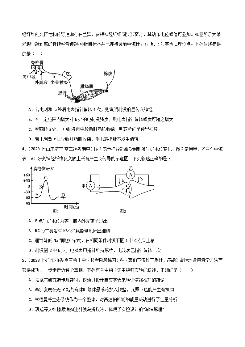 专题07 动物生命活动调节--2024年高考生物【热点·重点·难点】专练（新高考专用）02