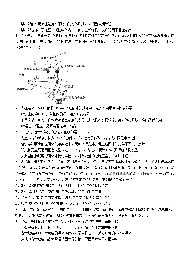 湖南省长沙市第一中学2023-2024学年高三下学期月考（八）生物试卷 Word版含答案02