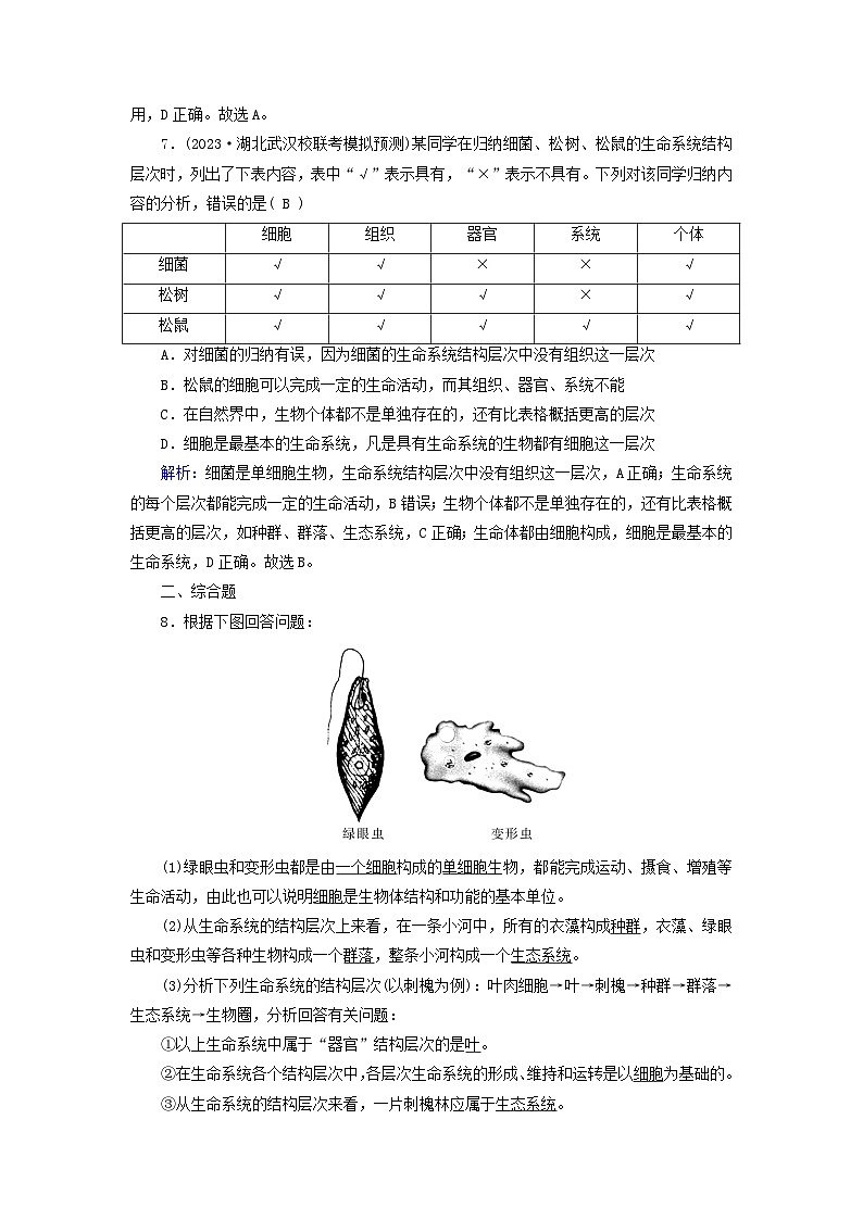 2025版高考生物一轮总复习必修1第1单元走近细胞和组成细胞的分子第1讲走近细胞提能训练第3页