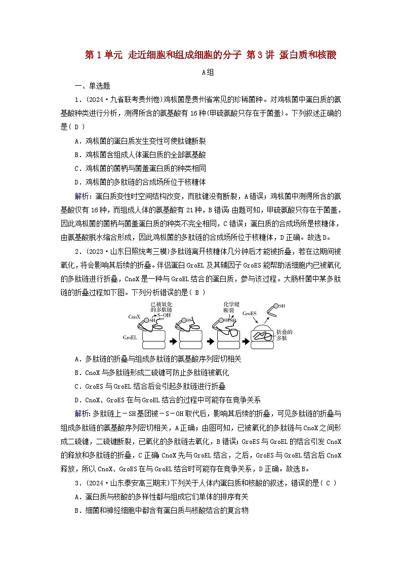 2025版高考生物一轮总复习必修1第1单元走近细胞和组成细胞的分子第3讲蛋白质和核酸提能训练01