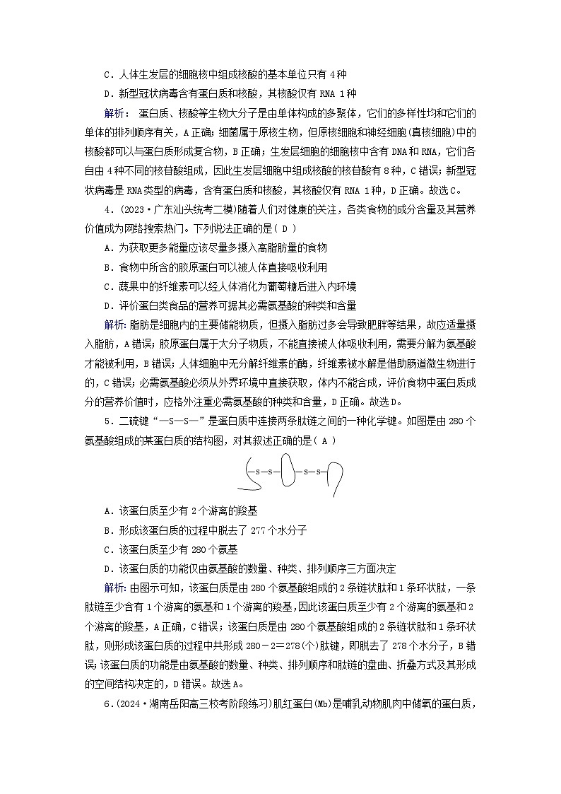2025版高考生物一轮总复习必修1第1单元走近细胞和组成细胞的分子第3讲蛋白质和核酸提能训练02