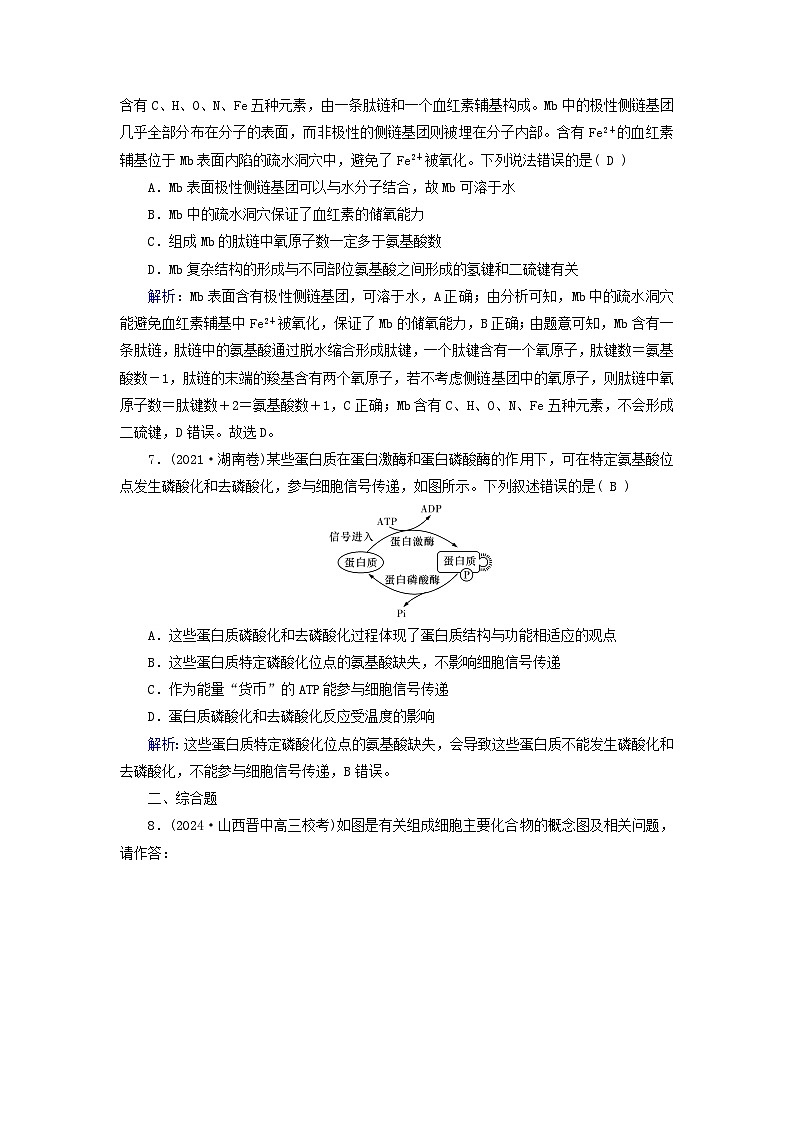 2025版高考生物一轮总复习必修1第1单元走近细胞和组成细胞的分子第3讲蛋白质和核酸提能训练03