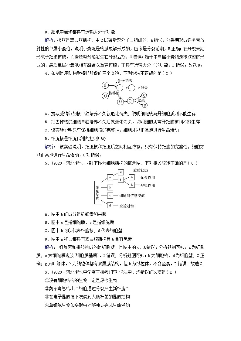 2025版高考生物一轮总复习必修1第2单元细胞的基本结构与物质输入和输出第1讲细胞膜和细胞核提能训练第2页