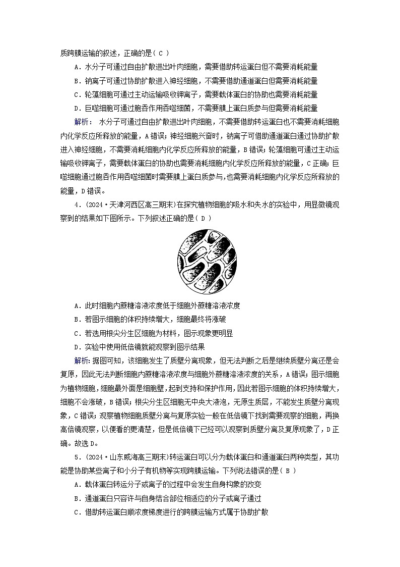 2025版高考生物一轮总复习必修1第2单元细胞的基本结构与物质输入和输出第3讲细胞的物质输入和输出提能训练02