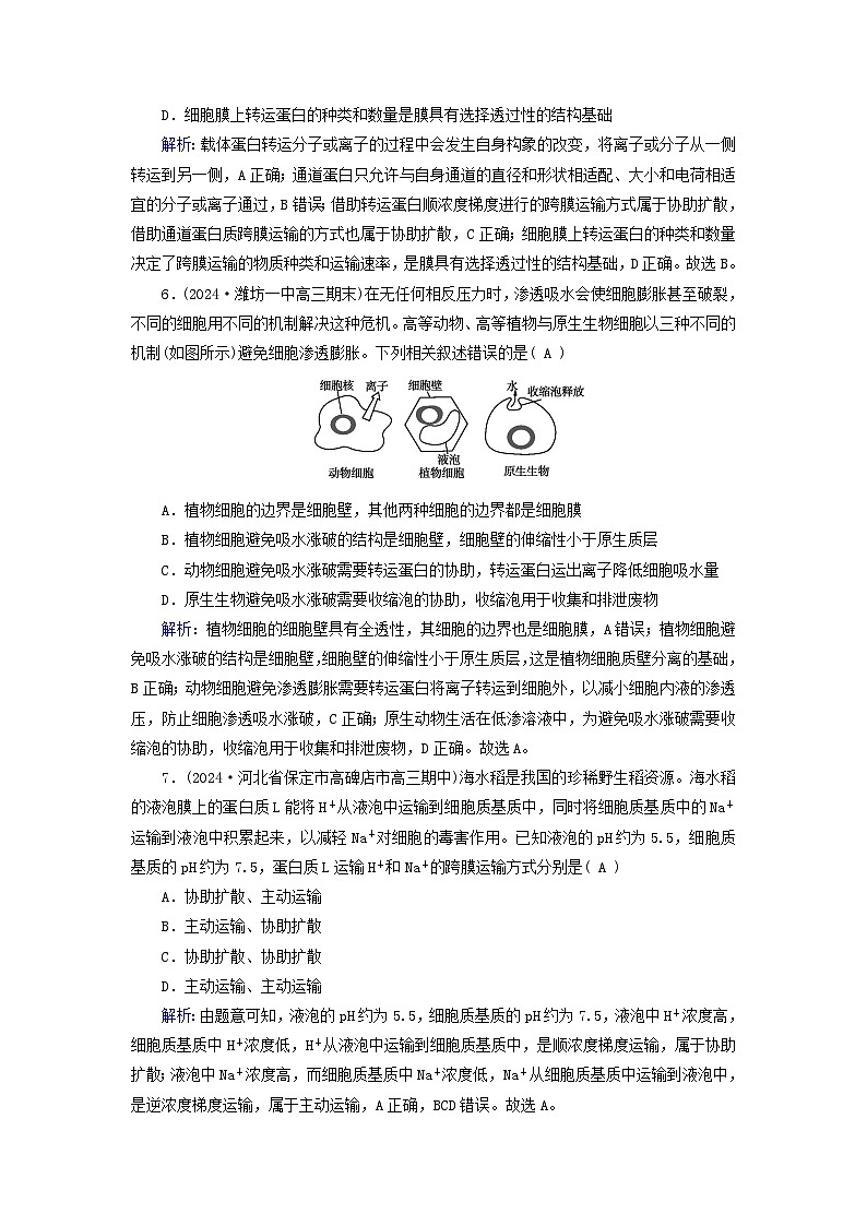 2025版高考生物一轮总复习必修1第2单元细胞的基本结构与物质输入和输出第3讲细胞的物质输入和输出提能训练03