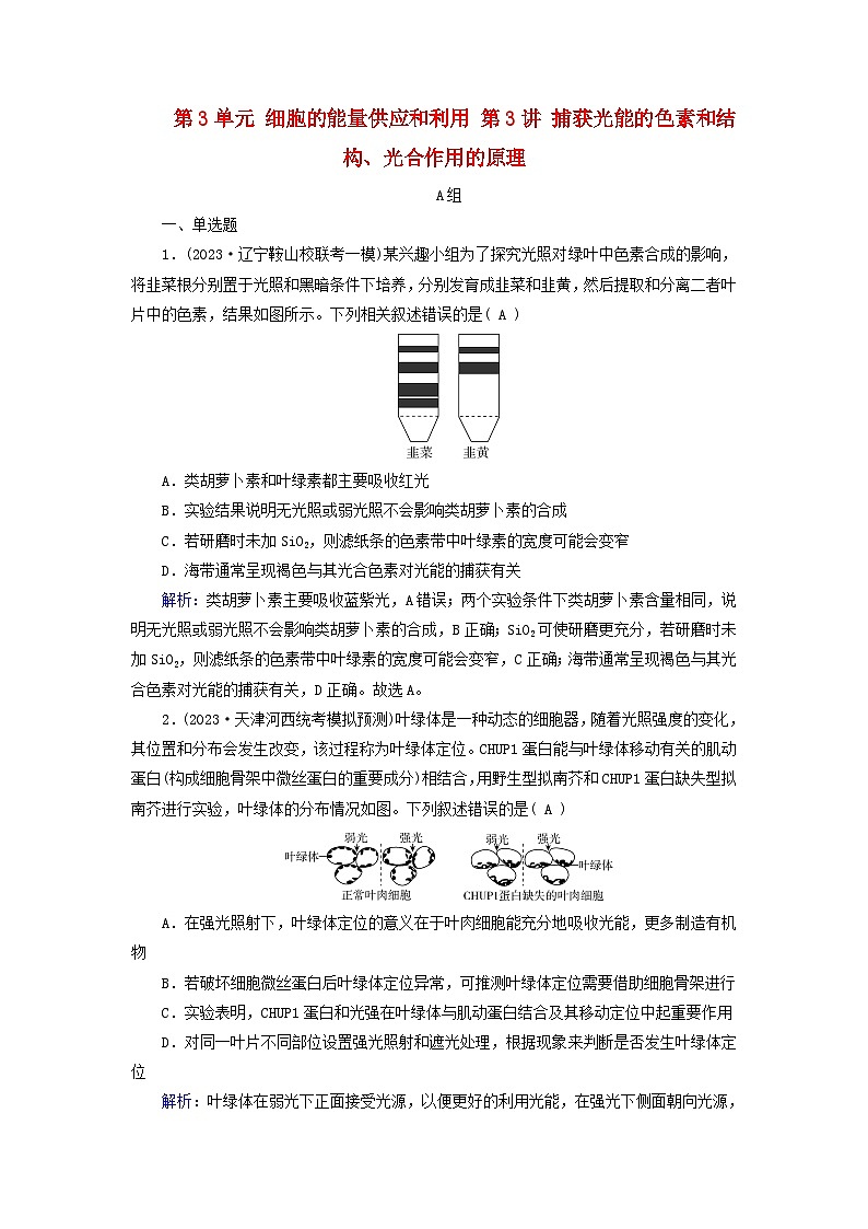 2025版高考生物一轮总复习必修1第3单元细胞的能量供应和利用第3讲捕获光能的色素和结构光合作用的原理提能训练第1页