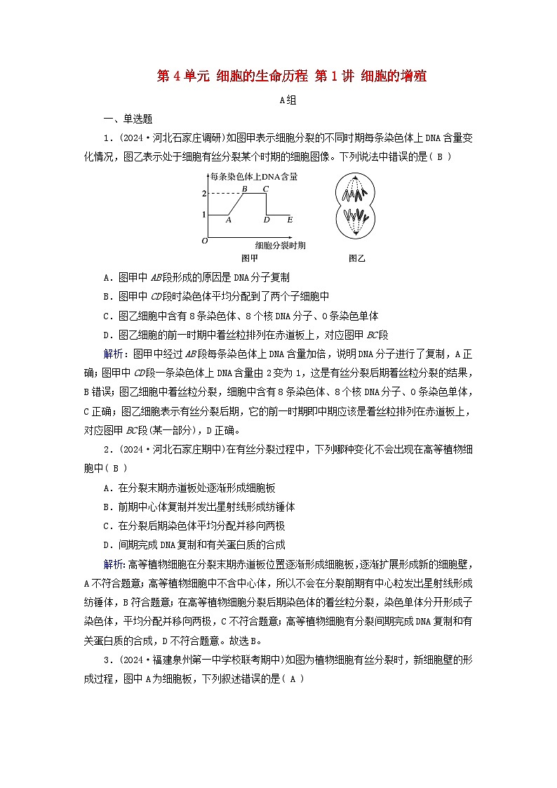 2025版高考生物一轮总复习必修1第4单元细胞的生命历程第1讲细胞的增殖提能训练01