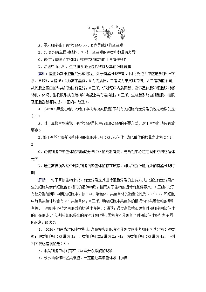 2025版高考生物一轮总复习必修1第4单元细胞的生命历程第1讲细胞的增殖提能训练02