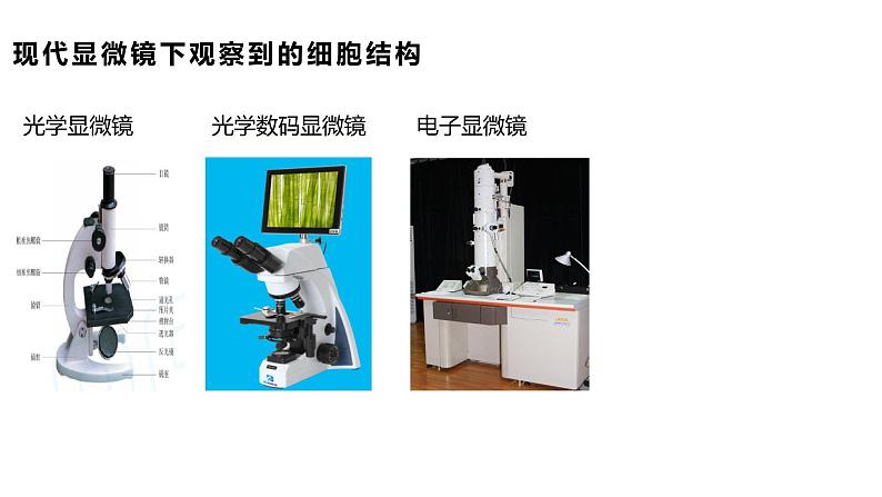 2023-2024学年浙科版（2019）必修1 2.1 细胞是生命的单位 课件第6页