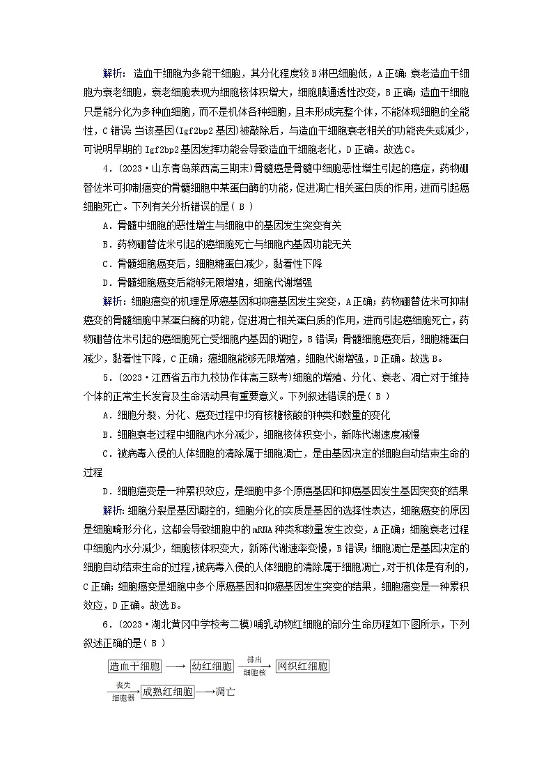 2025版高考生物一轮总复习必修1第4单元细胞的生命历程第3讲细胞的分化衰老和死亡提能训练02