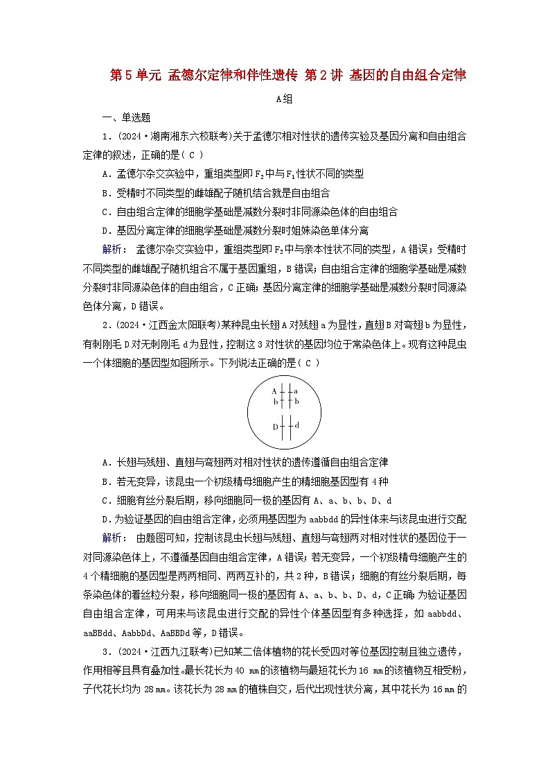 2025版高考生物一轮总复习必修2第5单元孟德尔定律和伴性遗传第2讲基因的自由组合定律提能训练第1页