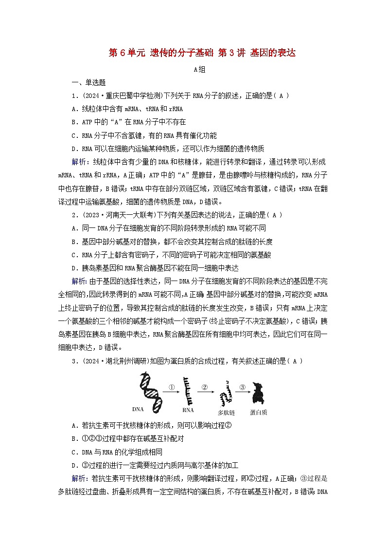 2025版高考生物一轮总复习必修2第6单元遗传的分子基础第3讲基因的表达提能训练01