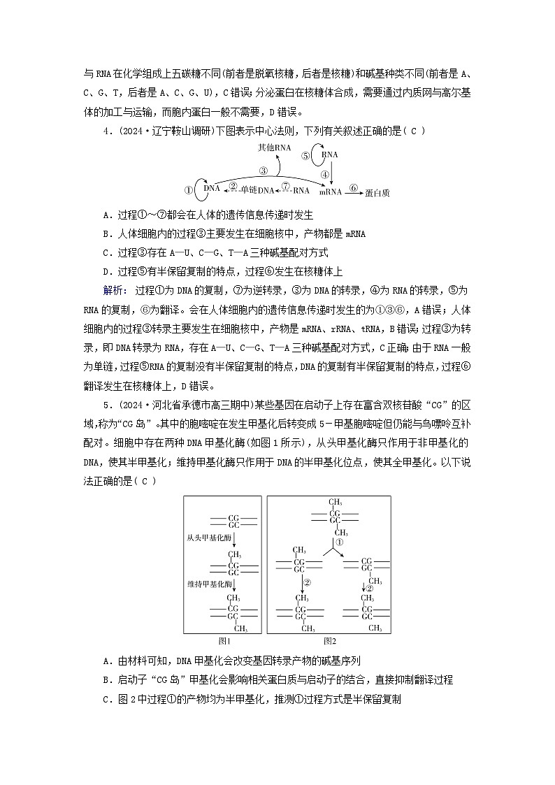 2025版高考生物一轮总复习必修2第6单元遗传的分子基础第3讲基因的表达提能训练02