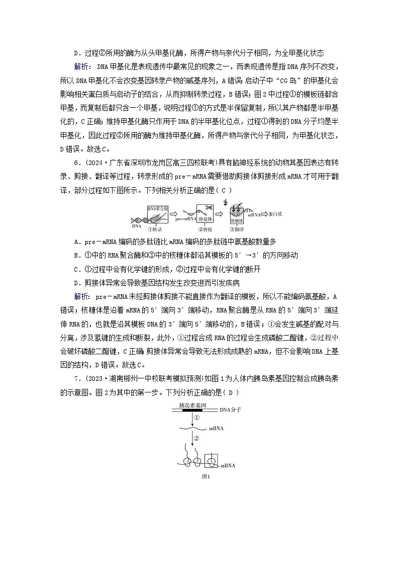 2025版高考生物一轮总复习必修2第6单元遗传的分子基础第3讲基因的表达提能训练03