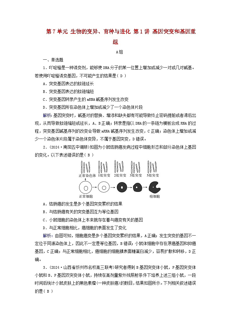 2025版高考生物一轮总复习必修2第7单元生物的变异育种与进化第1讲基因突变和基因重组提能训练第1页