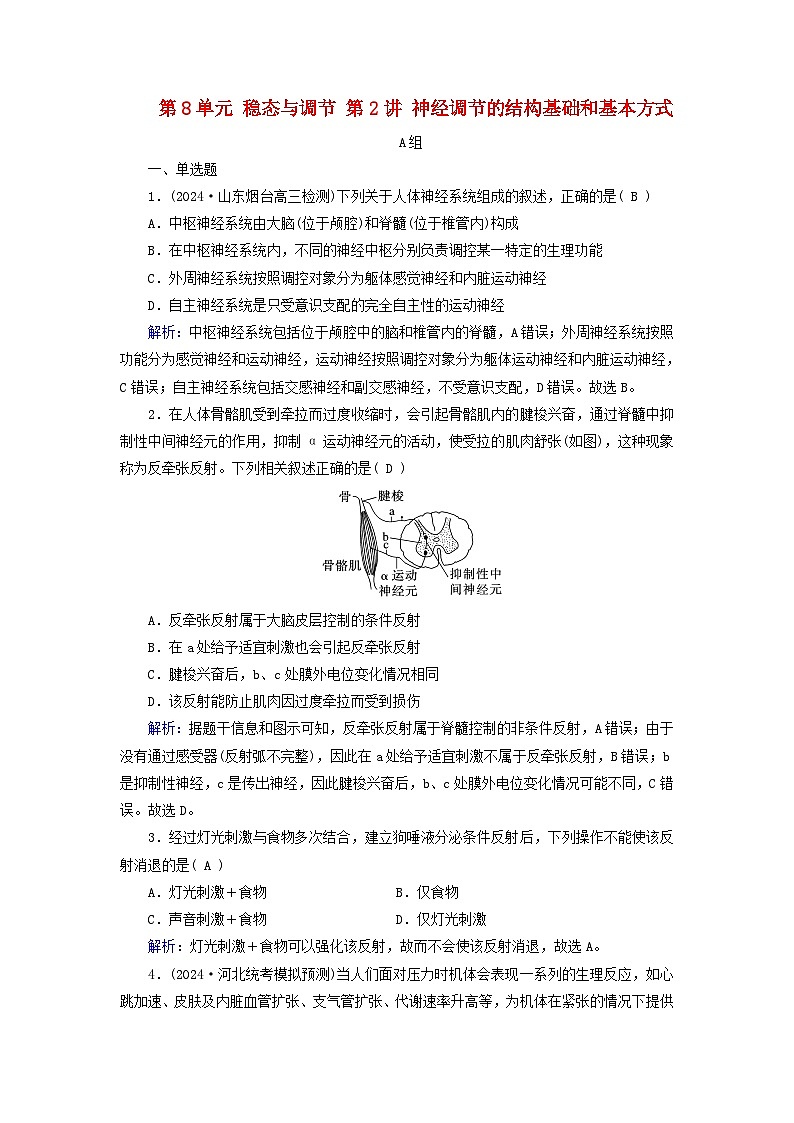 2025版高考生物一轮总复习选择性必修1第8单元稳态与调节第2讲神经调节的结构基础和基本方式提能训练第1页