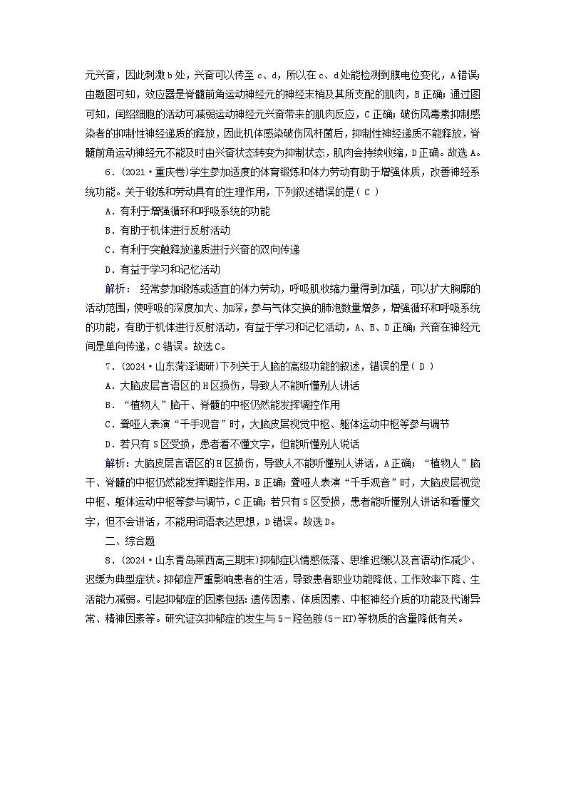 2025版高考生物一轮总复习选择性必修1第8单元稳态与调节第3讲神经冲动的产生和传导神经系统的分级调节及人脑的高级功能提能训练03