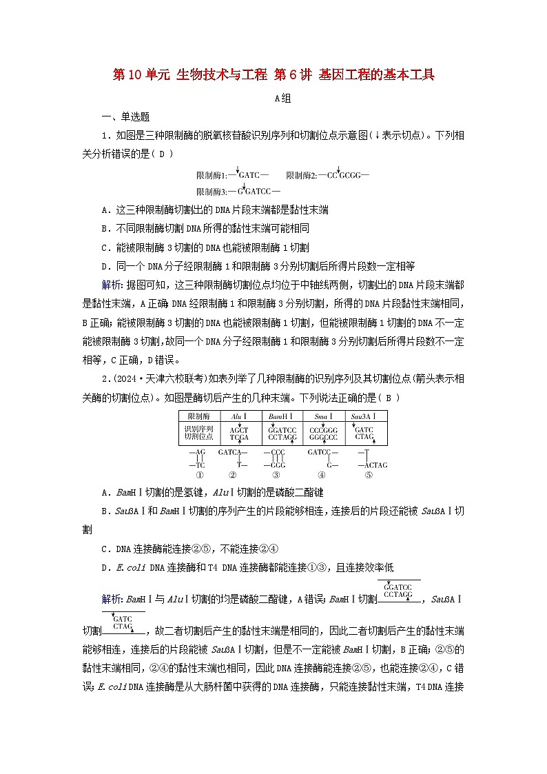 2025版高考生物一轮总复习选择性必修3第10单元生物技术与工程第6讲基因工程的基本工具提能训练第1页
