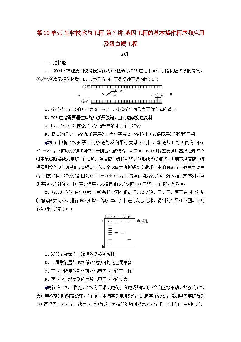 2025版高考生物一轮总复习选择性必修3第10单元生物技术与工程第7讲基因工程的基本操作程序和应用及蛋白质工程提能训练01