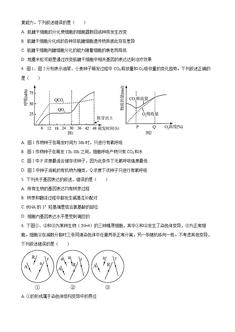 安徽省池州市2024届高三下学期二模生物试题无答案第2页