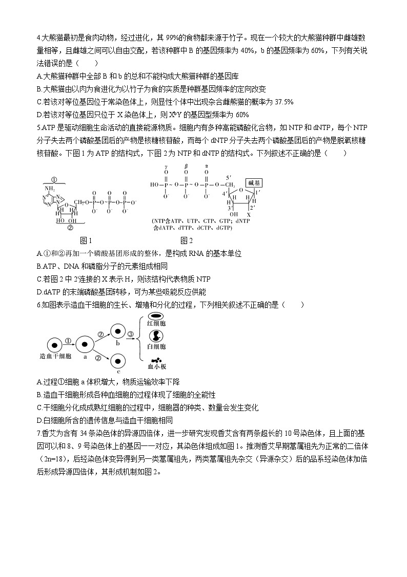 2024长沙师大附中高三下学期一模生物试卷含解析02
