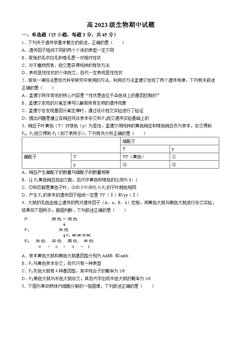 四川省眉山市仁寿县实验中学2023-2024学年高一下学期4月期中生物试题第1页