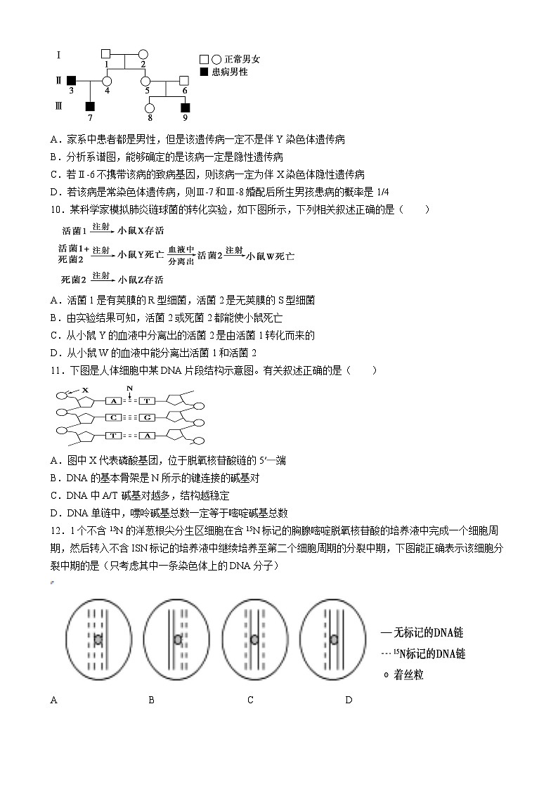 四川省眉山市仁寿县实验中学2023-2024学年高一下学期4月期中生物试题第3页