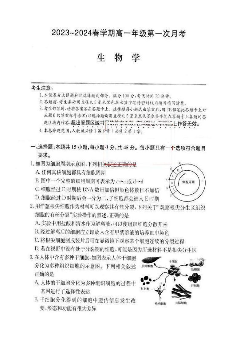 安徽省亳州市涡阳县2023-2024学年高一下学期4月月考生物试题第1页
