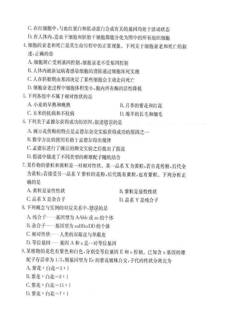 安徽省亳州市涡阳县2023-2024学年高一下学期4月月考生物试题第2页